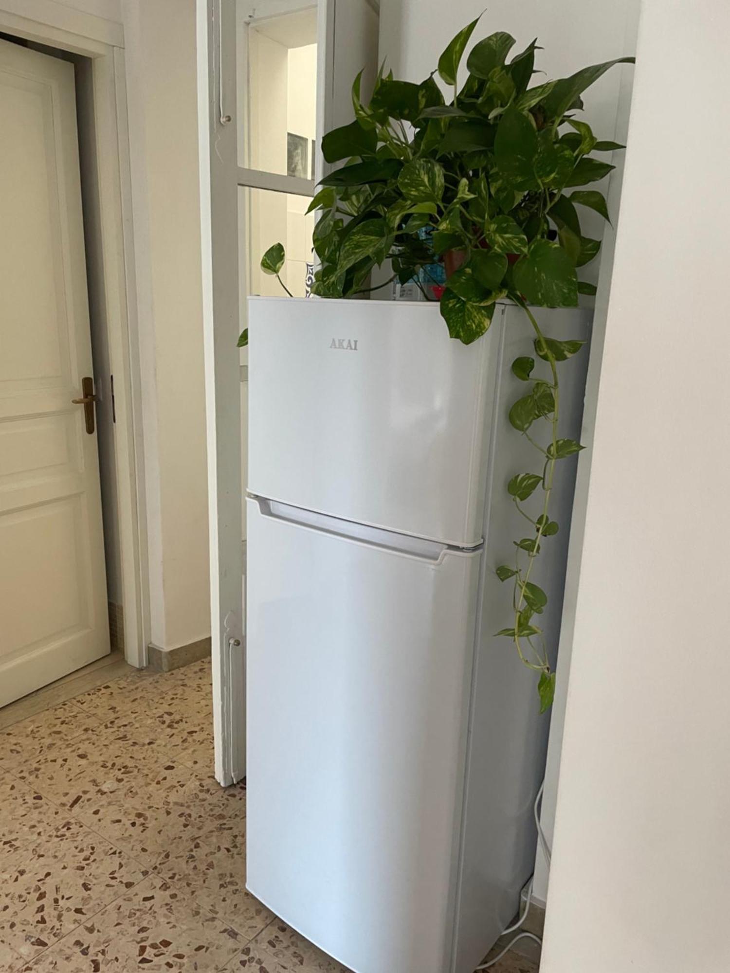 Lorenzo'S House Catania City Centre - Comfortable Large Apartment With 2 Bedrooms And 2 Baths, Close To Trains, Metro And Bus Station Exterior photo